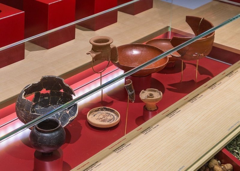 Visite du musée et du  site archéologique