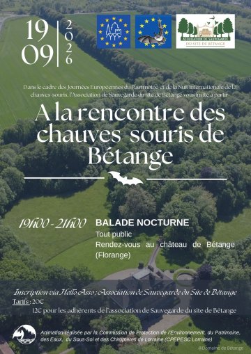 A la découverte des chauves-souris de Bétange
