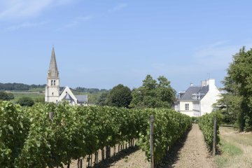 Visite guidée du village de Souzay-Champigny
