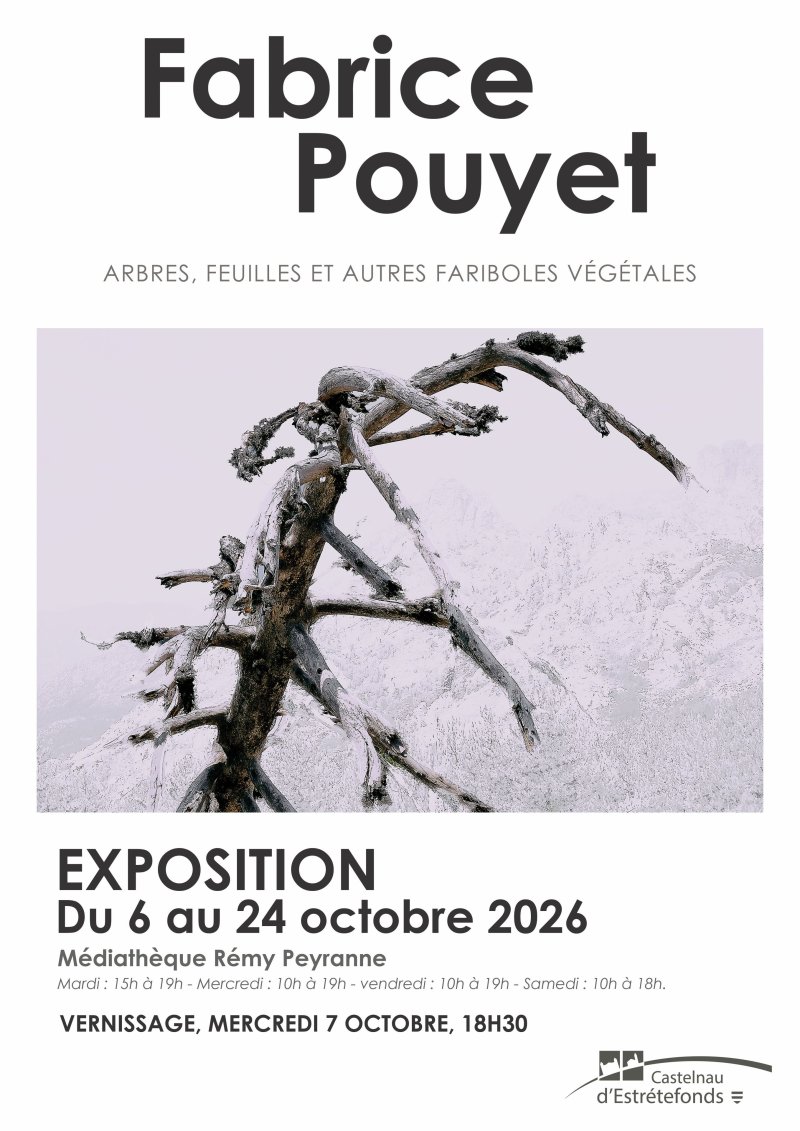 Arbres, feuilles et autres fariboles végétales
