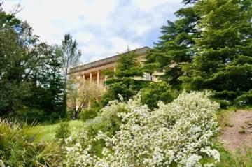 Visite botanique du Parc de la Villa Aurélienne
