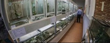 L'AQUAVIVARIUM