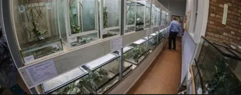 L'AQUAVIVARIUM