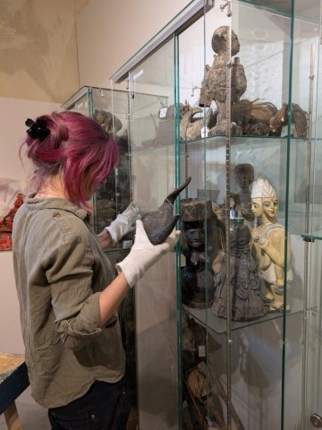 Visites guidées de l’exposition temporaire et de nos réserves