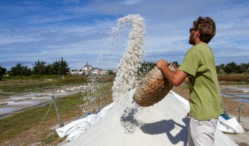 Visites guidées des marais salants de la Vie