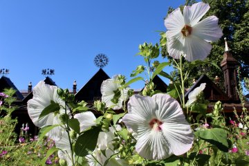 Visitez un Jardin Remarquable aux portes d'Annecy