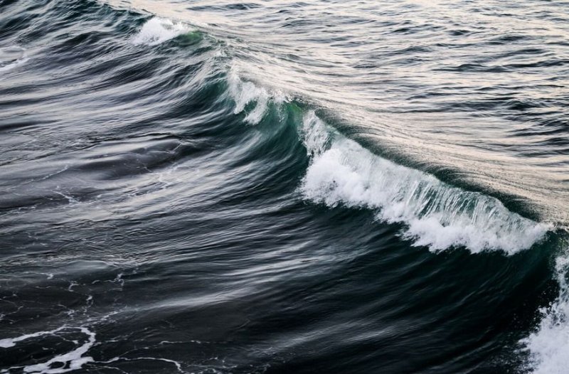 Les échappées inattendues du CNRS : faire des vagues