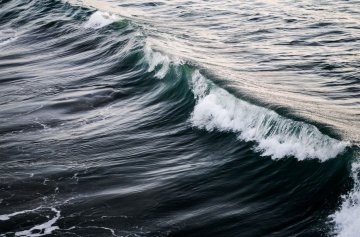 Les échappées inattendues du CNRS : faire des vagues