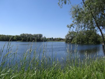 Visite guidée à la découverte de la préservation du patrimoine naturel de la chaine des lacs