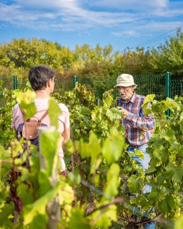 Aux jardins de la Contrée de Gauvin : immersion au cœur du conservatoire de ceps hybrides