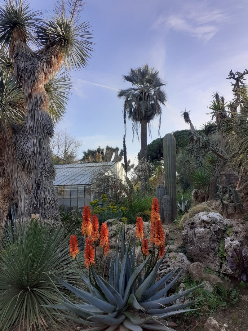 Le Jardin Olbius Riquier : visite sensorielle en LSF
