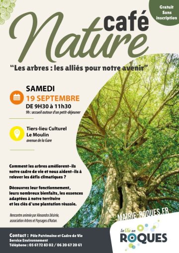 [Café nature] Ville, climat, biodiversité : l’arbre comme trait d’union.