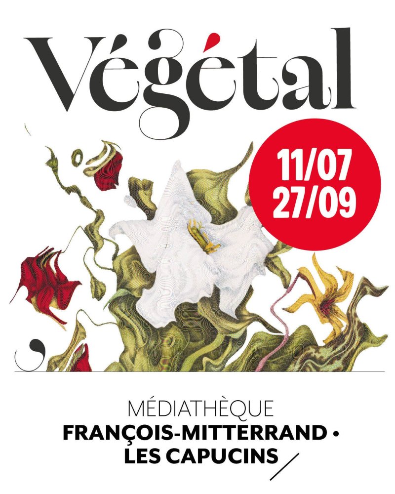 Exposition Végétal. Balade botanique dans les collections patrimoniales