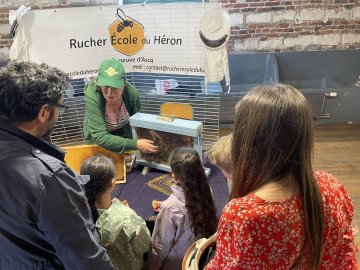 Rencontre avec le rucher-école au Musée du Terroir