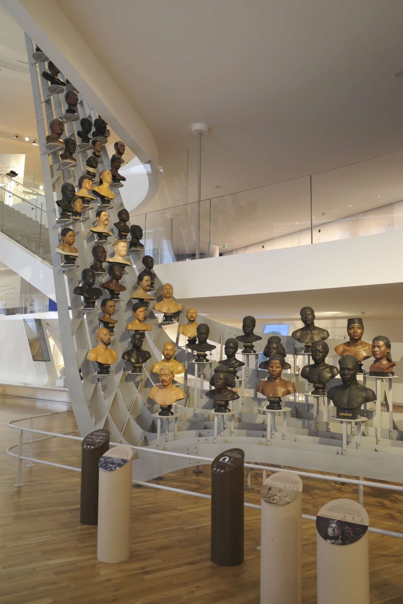 Venez découvrir les collections du Musée de l'Homme !