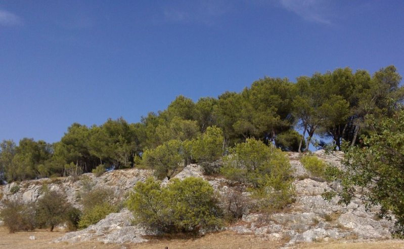Balade : patrimoine naturel et bâti de la colline du moulin à vent