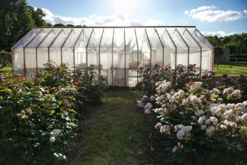 Visite guidée de la ferme florale