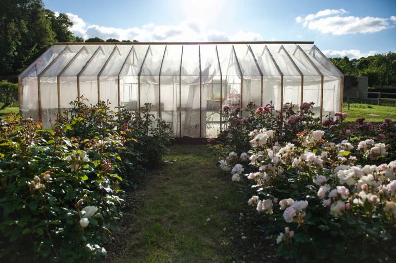Visite guidée de la ferme florale