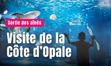 Sortie des aînés : direction la Côte d'Opale