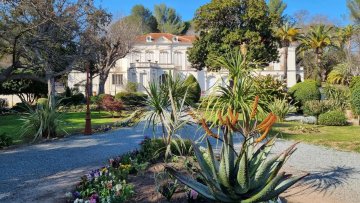 Les villas Belle Epoque à Fréjus : la Villa Marie