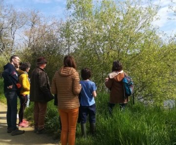Plantes sauvages des rives