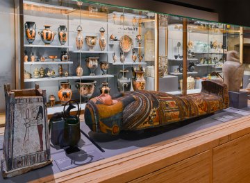 Visite libre des collections et de l'exposition