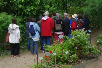 Visites guidées du jardin botanique de la faculté de santé d'Angers