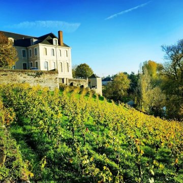 Visite commentée de la vigne par l'association VEVA