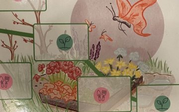 Jeu : le potager des saisons