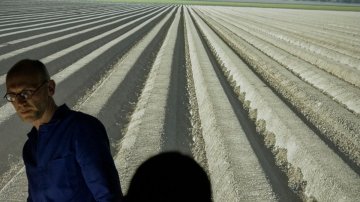 Conférence La nature des équilibres