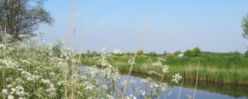 À LA DÉCOUVERTE DE LA VALLÉE MARAÎCHÈRE DES JALLES DU TAILLAN-MÉDOC ET D’EYSINES