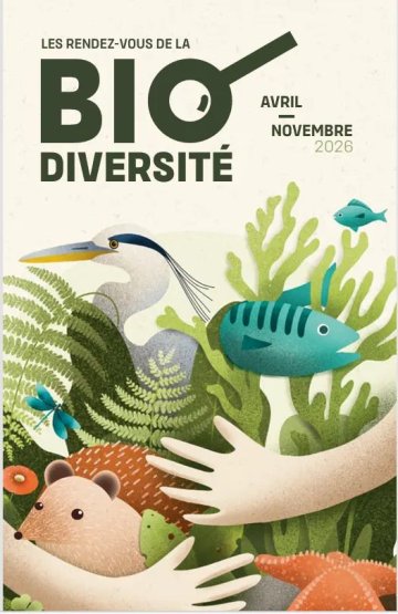 Aider les oiseaux en hiver