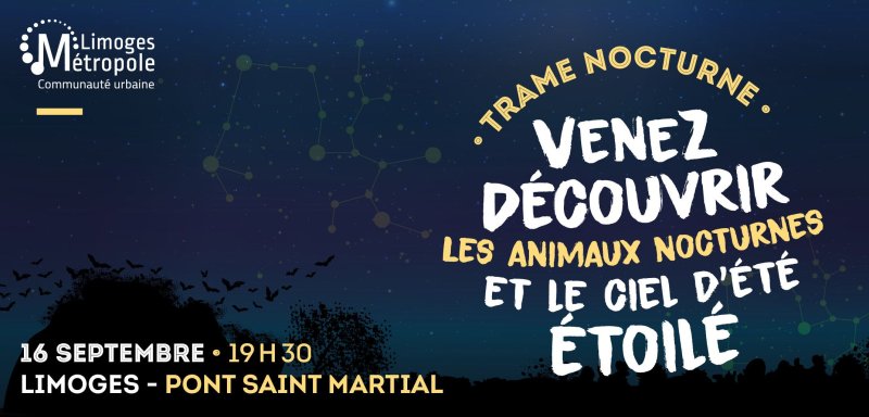 Trame nocturne - Venez découvrir les animaux nocturnes et le ciel d'été étoilé