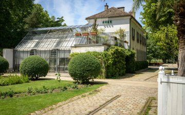 Visite de la serre et conseils pour vos plantes d'intérieur