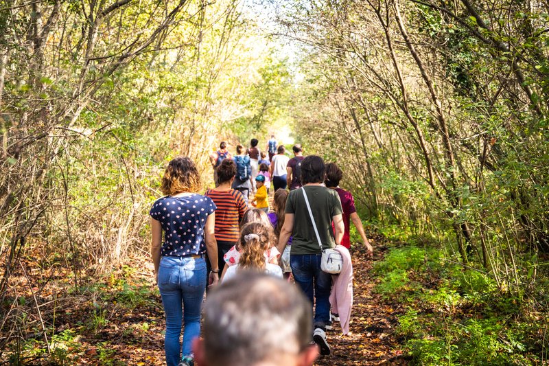 Balade : En milieu urbain, la nature change et s'adapte