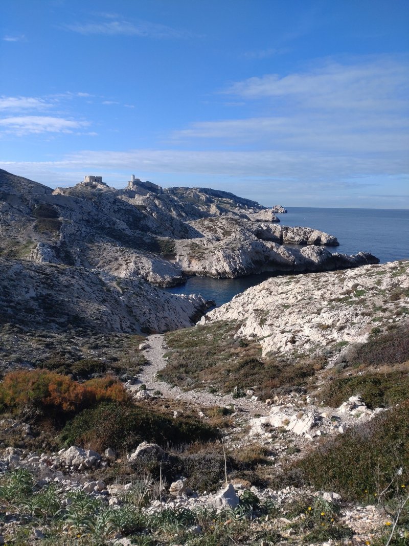 Découverte de l'archipel du Frioul