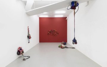Cœur sauvage. Sonia Gomes