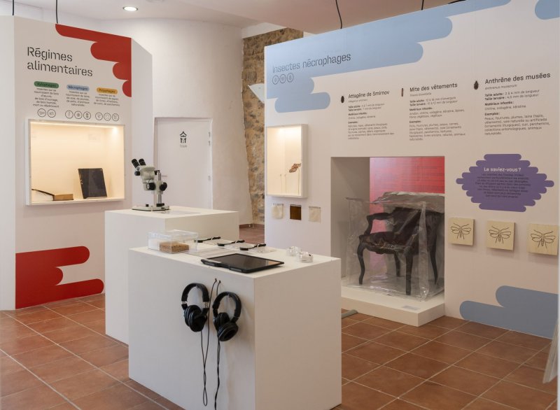 Visite libre de l'exposition "Croqueurs de patrimoine"