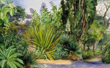 L'empire de la nature : une histoire des jardins botaniques coloniaux