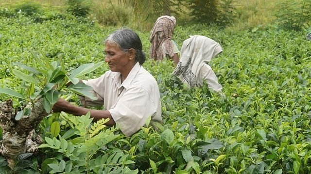 Rencontre avec Artisans du monde