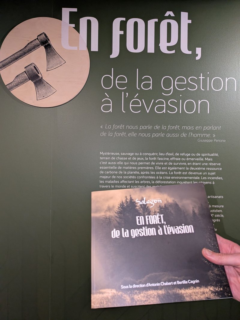 Visite guidée En forêt, de la gestion à l'évasion