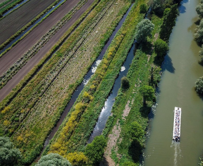 CROISIÈRE : MARAIS & RÉSERVE
