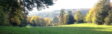 Visite commentée du parc du château de Taxenne
