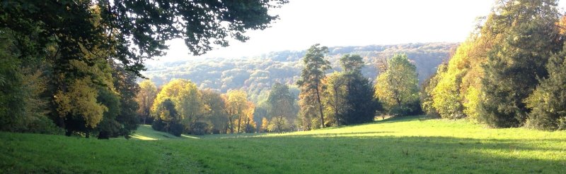 Visite commentée du parc du château de Taxenne