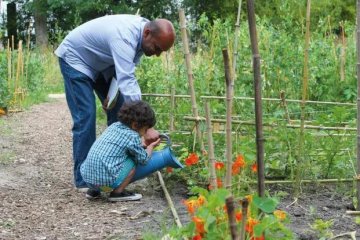 Atelier : Multiplier ces végétaux