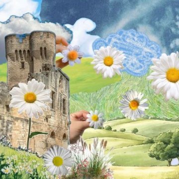 Un bouquet à Montmajour