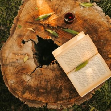 Lecture en arpentage « Giono politique : à rebours de la croissance, la liberté de vivre »