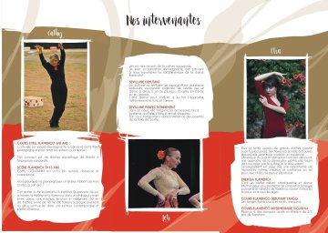 flamenco pour tous