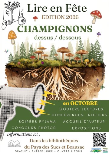 Champignons, dessus / dessous 🍄