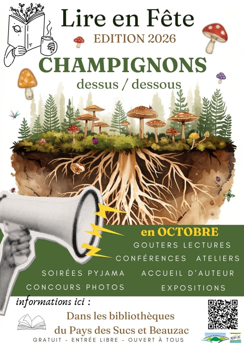 Champignons, dessus / dessous 🍄
